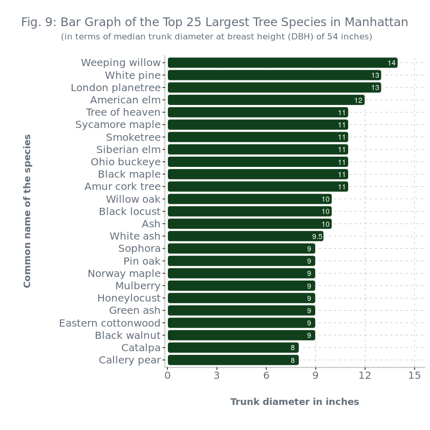 Fig. 9: Bar Graph of the Top 25 Largest Tree Species in Manhattan
