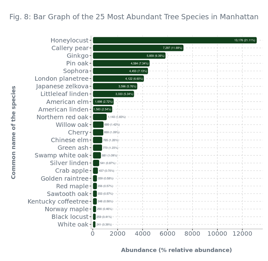 Fig. 8: Bar Graph of the 25 Most Abundant Tree Species in Manhattan