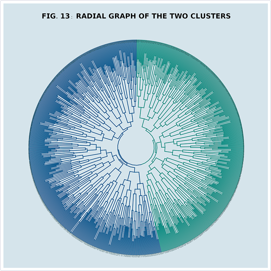 Radial Graph