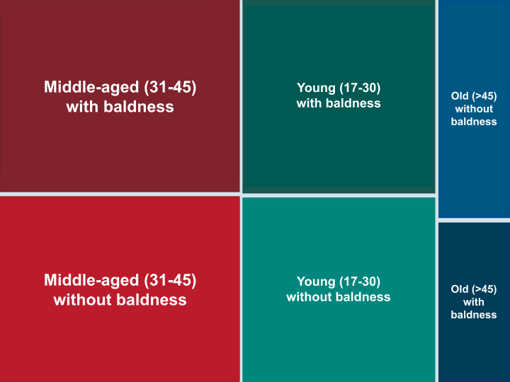The Anatomy of Baldness: Statistical and Machine Learning Perspectives on Key Factors of Hair Loss